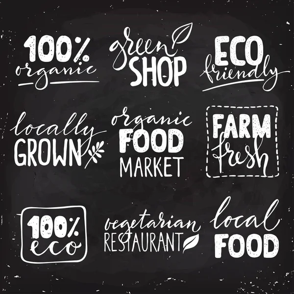 Sada ekologických potravin loga — Stockový vektor