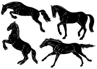 Sporthorses - silhouettes with features clipart