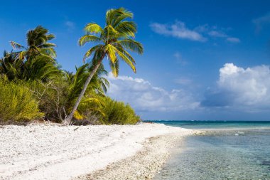 Karayiplerdeki San Andres Adası 'nda mükemmel bir deniz ve sahil.