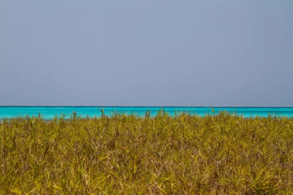加勒比圣安德烈斯岛完美的大海和海滩 — 图库照片