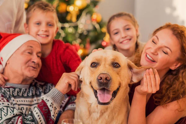 Lets celebrate winter holiday together — Stock Photo, Image