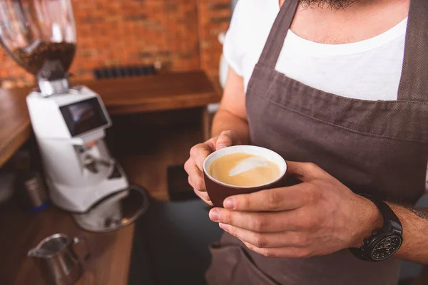 Professionell kaffebryggare arbetar i café — Stockfoto