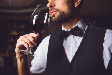 Sommelier şarap yarış teneffüs edilmesi konsantre