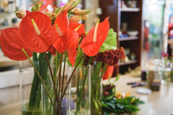 Schöne bunte Blumen auf der Theke im Geschäft — Stockfoto