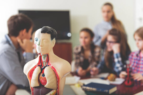 Намерение детей на интересном уроке
