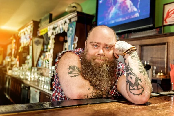 Serene vet barman liggend op werkblad — Stockfoto