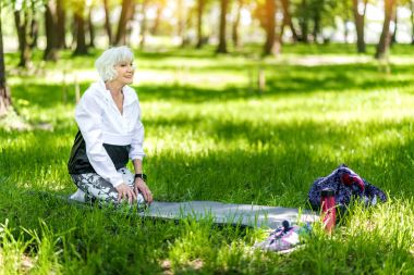 Mutlu yaşlı kadının rekreasyon faaliyetleri yaz ormandaki yapması