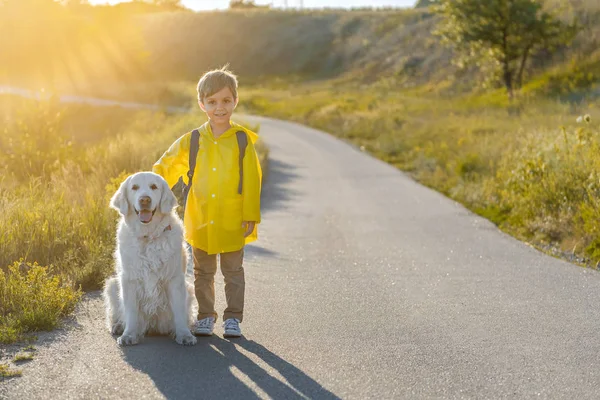 Positive child traveling in nature with Labrador puppy — Stock Photo, Image