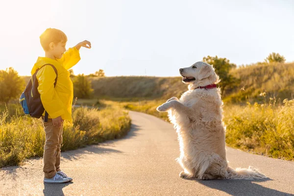 Cheerful kid playing with his pet outdoors — Stock Photo, Image