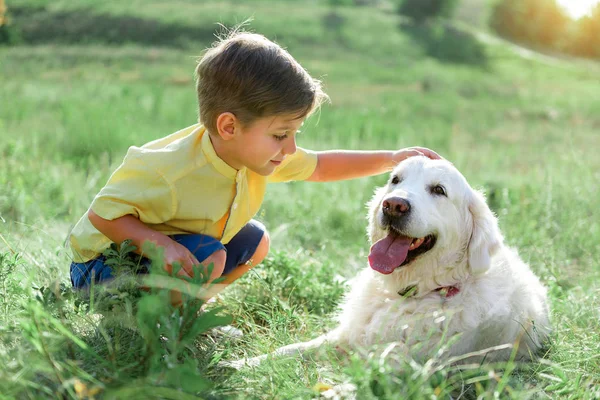 Niedliches Kind drückt seine Sanftheit gegenüber Hund aus — Stockfoto