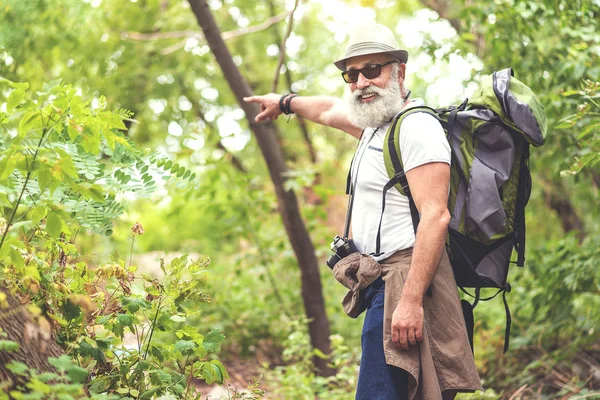 Gioioso turista anziano godendo il suo viaggio nella foresta — Foto Stock