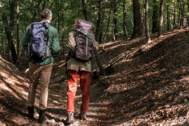 Neşeli adam ve kadın ile turistik arka çantalar doğada