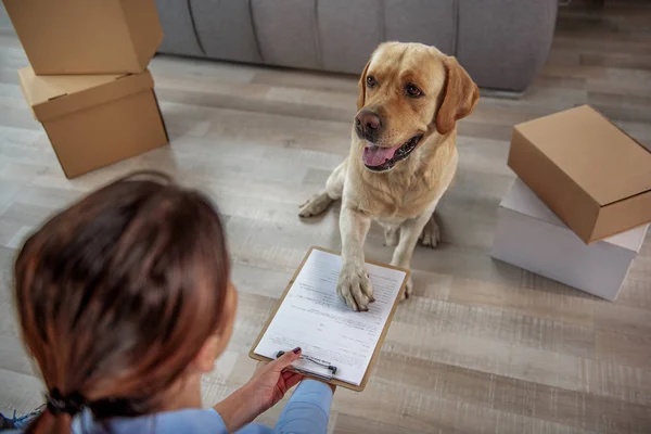 Fröhlicher Arbeiter unterschreibt Urkunde für Frau — Stockfoto