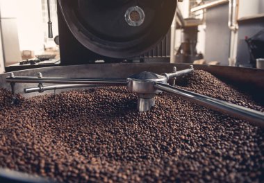 Kahve çekirdekleri içinde teknik makine bulma