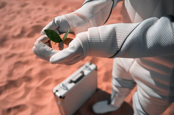 Космонавт держит небольшую зеленую траву — стоковое фото