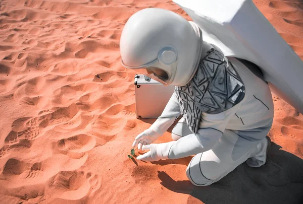 Человек из космоса, расположенный рядом с небольшой травой — стоковое фото