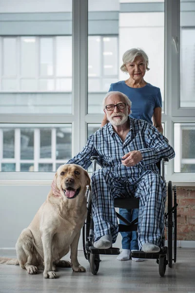 Pensionistas pacíficos desfrutando de tempo com seu cão dentro de casa — Fotografia de Stock