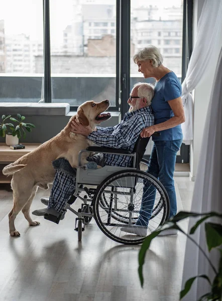 Casal de idade passar tempo com cão — Fotografia de Stock