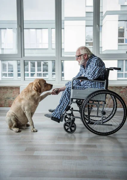 Sereno disabile uomo maturo godendo il tempo con il cane — Foto Stock