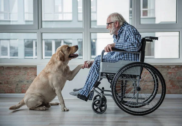 Calma enfermo senior masculino pasar tiempo con el perro —  Fotos de Stock