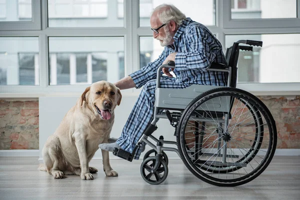 Sereno anziano desiabed uomo accarezzare il cane in casa — Foto Stock