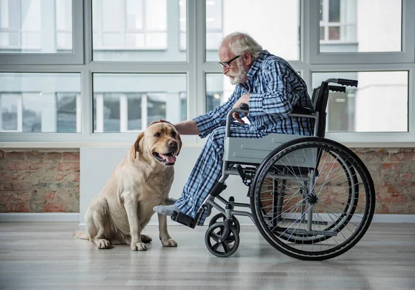 Calma vecchio maschio sulla sedia a rotelle accarezzando il cagnolino in camera — Foto Stock