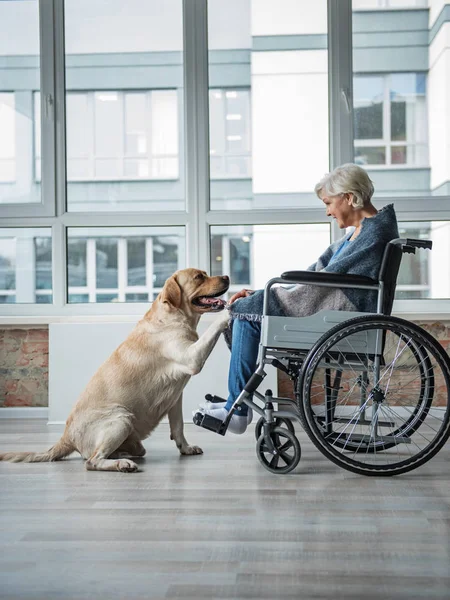 Sereno maduro deficiente feminino passar tempo com o cão — Fotografia de Stock