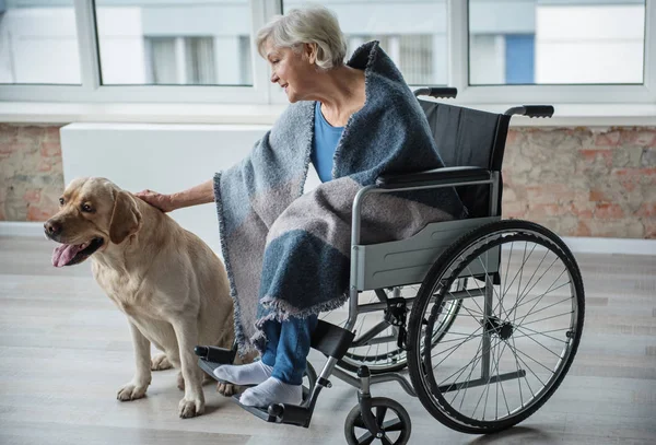 Спокойная женщина-инвалид ласкает собаку дома — стоковое фото