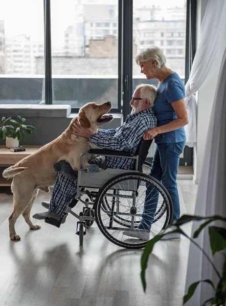 Old married couple spending time with dog Stock Image