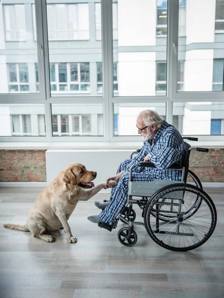 Calm ill old male spending time with dog Royalty Free Stock Photos