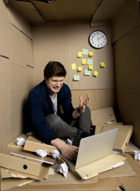 Kuduz çalışan dizüstü bilgisayarda çalışırken çığlık atıyor