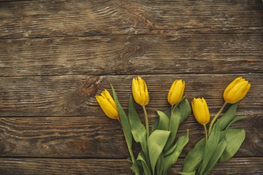 Bitkiler üzerinde ahşap demet bahar