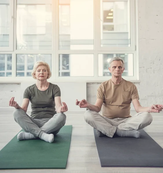 Концентрированные пенсионеры медитируют вместе в студии — стоковое фото