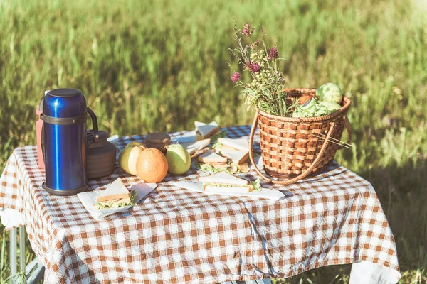 Вкусная еда для пикника на столе на лугу — стоковое фото