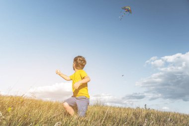 Neşeli uçan uçurtma kırsal