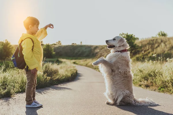Glad little boy training his pet — Stock Photo, Image