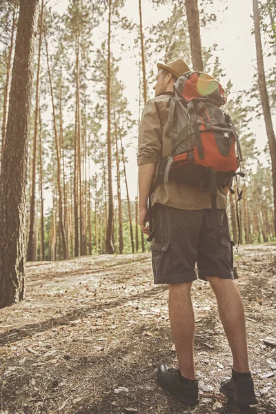 愉快的年轻徒步旅行者站立在森林里 — 图库照片