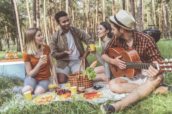 Blij vrienden dialoogvenster gelet op picknick — Stockfoto