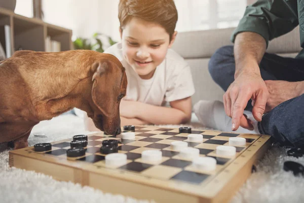 Цікава собака нюхає шахівницю біля власників — стокове фото