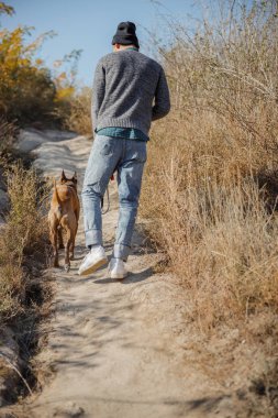 Hafta sonu evcil hayvan stoku fotoğrafıyla gideceğimiz bir yer yok.