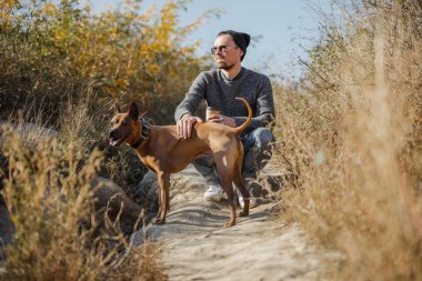 Düşünceli bir adam köpek stoğunun yanında çömeliyor.