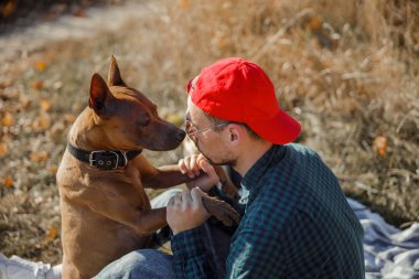 Güvenilir bir köpek sahibi ve favori hayvan stoku fotoğrafı.