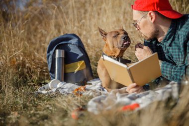 Thai Ridgeback stok fotoğrafına dilini gösteriyor.