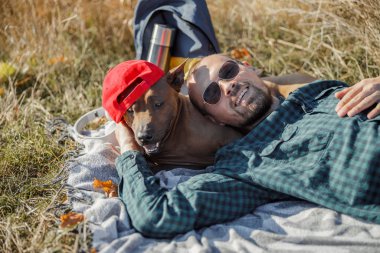 Büyük köpek yastık kılıfında rahat olabilir.