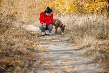 Köpek çimenleri kokluyor ve adam ona bakıyor.