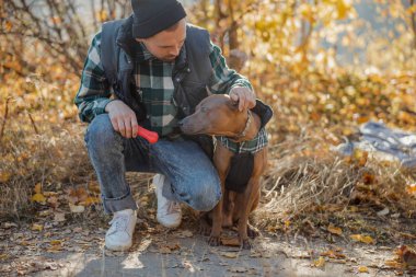 Köpek stoğunun yanında oyuncakla oturan adam.