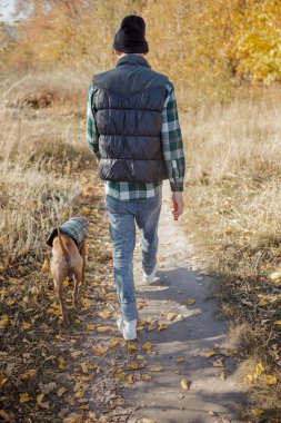 Sahibi, güz ormanlarında köpek stoğu fotoğraflarıyla geziyor.