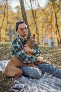 Köpek resmi ile dinlenmek için sessiz bir yer.