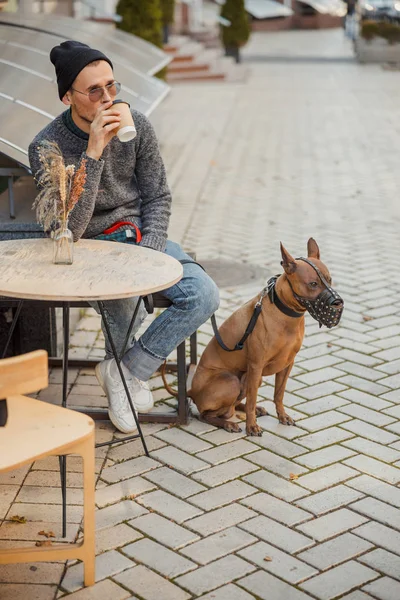 Journée de repos détendue avec café et animal favori photo de stock — Photo