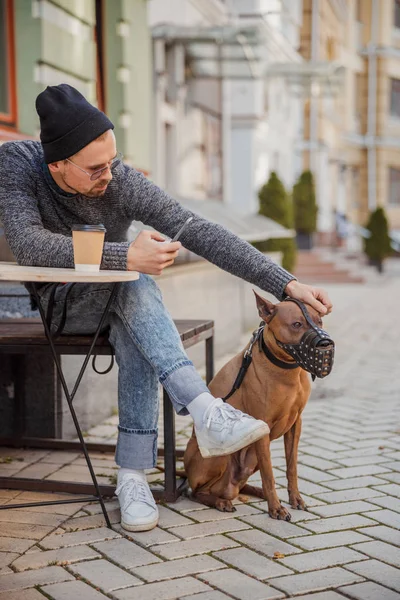 Calm man putting hand on the dog head stock photo — Stock Photo, Image